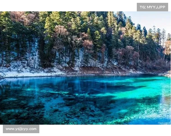 揭开沼光湖惊悚之谜的真相 探寻诡异湖泊背后的神秘秘密 揭开沼光湖惊悚之谜的真相 探寻诡异湖泊背后的神秘秘密